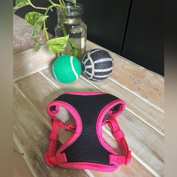 XXS animal harness set - Picture 2 of 5